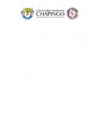 IMPORTANCIA DE LA ACTIVIDAD. FRANQUICIAS