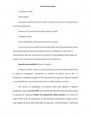 Juicio oral penal apuntes