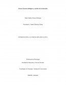 Ensayo Factores biológicos y sociales de la educación