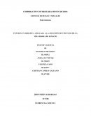 EJEMPLO DE UN ENSAYO DE FUNDAMENTO MATEMATICAS