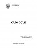 CASO DOVE PREGUNTAS PARA ANÁLISIS DEL CASO