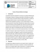 Invictus -Diversos Estilos de Liderazgo