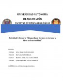 La fertilización in vitro (FIV)