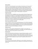 Como se da la CARACTERISTICAS MORFOLOGICAS DE Bertholletia excelsa “castaña”