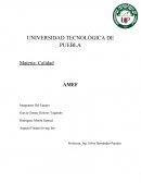 El AMEF aplicado en una bomba mecánica de combustible se realiza para verificar las fallas potenciales ya que la bomba es un elemento fundamental.