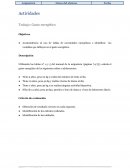ALIMENTACION. Actividades Trabajo: Gasto energético