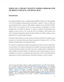 PERFIL DE LA MICRO Y PEQUEÑA EMPRESA DIRIGIDA POR MUJERES EN HUEJUTLA DE REYES, HGO.