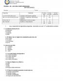 PRUEBA DE LECTURA COMPLEMENTARIA SÉPTIMO BÁSICO ana frank