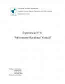 Experiencia N° 6: “Movimiento Rectilíneo Vertical”