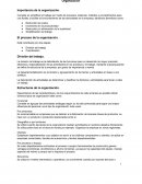 Importancia de la organización. El proceso de la organización