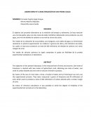 LABORATORIO N°1 CARACTERIZACIÓN DE UNA PIEDRA CALIZA