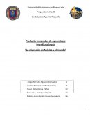 Pia multidisciplinario migración