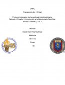 Producto Integrador de Aprendizaje Interdisciplinario Monterrey N.L