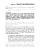 Caso Practico - Gestion Comercial el plan de marketing