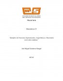 Funciones Logaritmicas Exponenciales y Racionales