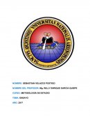 TEMA: ENSAYO METEDOLOGÍA DE ESTUDIO