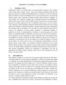 ENSAYO SOBRE TAN CERCA Y, SIN EMBARGO, TAN DIFERENTES