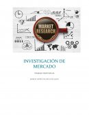 INVESTIGACIÓN DE MERCADO. TRABAJO INDIVIDUAL