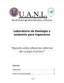 Laboratorio de fisiología y anatomía para ingenieros “Reporte sobre diferentes sistemas del cuerpo humano”