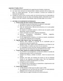 Logrando el “Cable a Tierra”