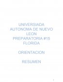 ORIENTACION RESUMEN