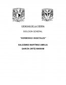 BIOLOGÍA GENERAL “HORMONAS VEGETALES”