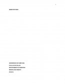 Hemopoyesis se refiere al desarrollo de los glóbulos rojos y blancos