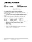 COSTOS PARA LA GERENCIA MINERA CERRO S.A.