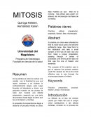 MITOSIS Programa de Odontología Facultad de ciencias de la salud