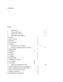 Proyecto Cervecería