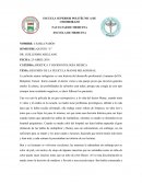 RESUMEN DE LA PELÍCULA MANOS MILAGROSAS. COMENTARIOS