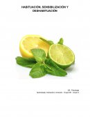 HABITUACIÓN, SENSIBILIZACIÓN Y DESHABITUACIÓN