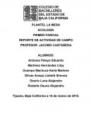 REPORTE DE ACTIVIDAD DE CAMPO Especie seleccionada: Las plantas de la preparatoria