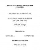 SINTESIS CRUSTACEOS
