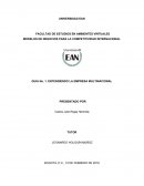 Entendiendo la Empresa Multinacional