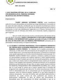 VISTA MEDIDAS PROVISIONALES. Página 1