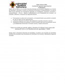 Empresas emprendedoras