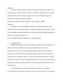 CALIBRACIÓN DE FUENTES DE VOLTAJE VARIABLE