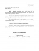 Quien o quienes, promoviendo por mi propio derecho, con la personalidad que tengo debidamente acreditada en autos, ante Usted, con el debido respeto comparezco y expongo: