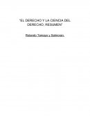 El derecho y la ciencia del derecho, resumen