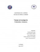 Trabajo de Investigación Problemática: Vertederos
