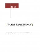 Analisis pelicula “TAARE ZAMEEN PAR”