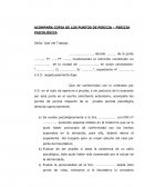 Acompaña copia de los puntos de pericia – pericia psicológica