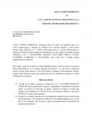 DEMANDA RESPONSABILIDAD OBJETIVA