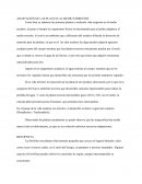 Adaptación de las plantas al medio terrestre