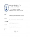 DEMANDA INSATISFECHA – DEMANDA POTENCIAL