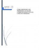 Tipos de heridas. ¿Primeros auxilios?