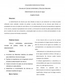 La determinación de cloruros por este método se basa en una valoración con nitrato de plata utilizando como indicador cromato de potasio