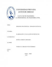 DEMANDA INSATISFECHA – DEMANDA POTENCIAL. Página 1