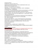 SE SINTETISA EN EL CITOSOL (DESPUES SE UNE A LOS RECEPTORES POSTSINAPTICOS)